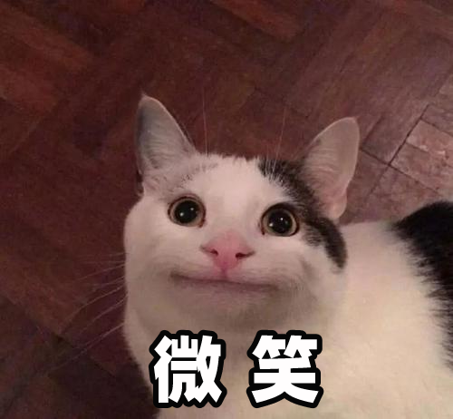 小猫假笑表情包