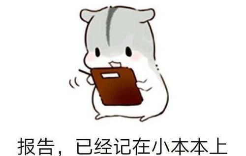 报告,已经记在小本本