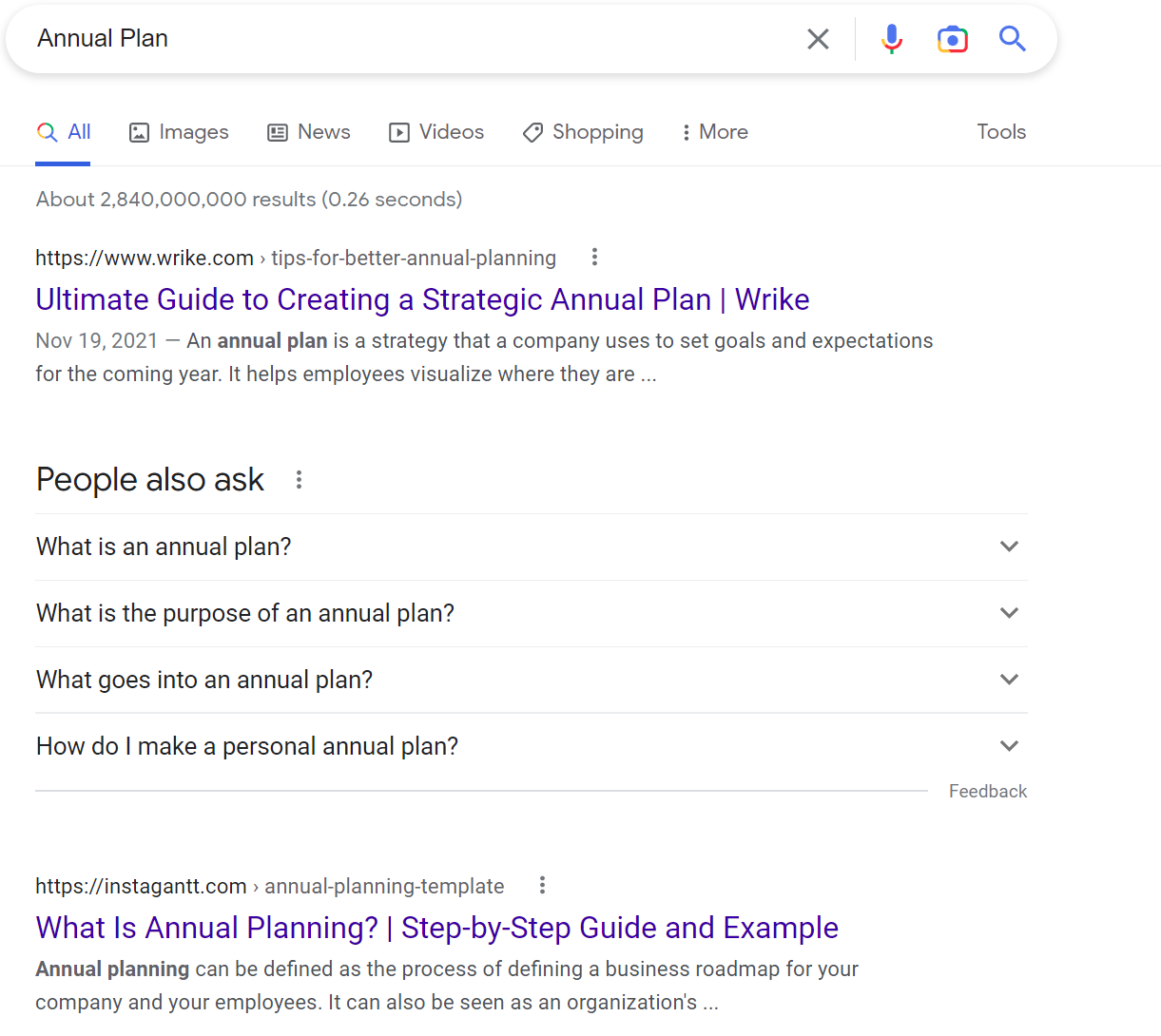 谷歌搜索截图：Annual Plan