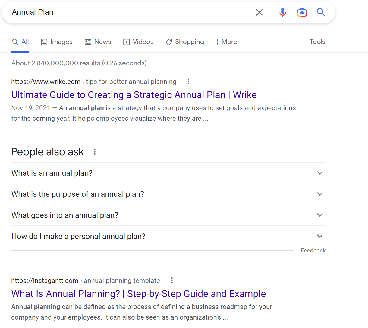 谷歌搜索截图:Annual Plan
