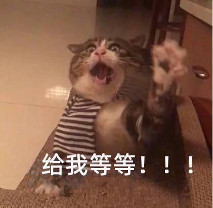 表情包1